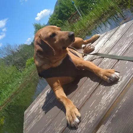 Vogesenparadies Casa de Férias Kirchberg